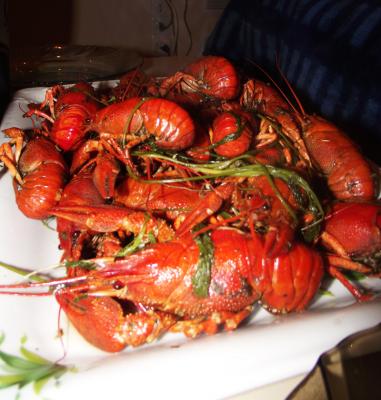 Прикрепленное изображение: раки.jpg